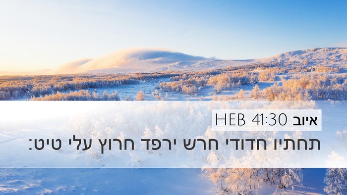 איוב 41:30 HEB Desktop Wallpaper - תחתיו חדודי חרש ירפד חרוץ - Desktop Bible Verse Wallpaper