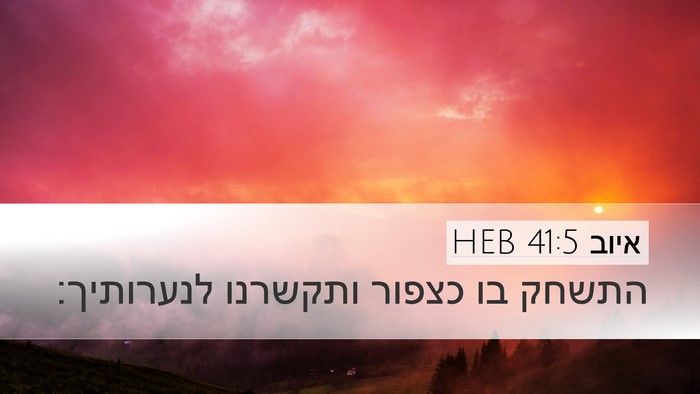 איוב 41:5 HEB Bible Verse Image