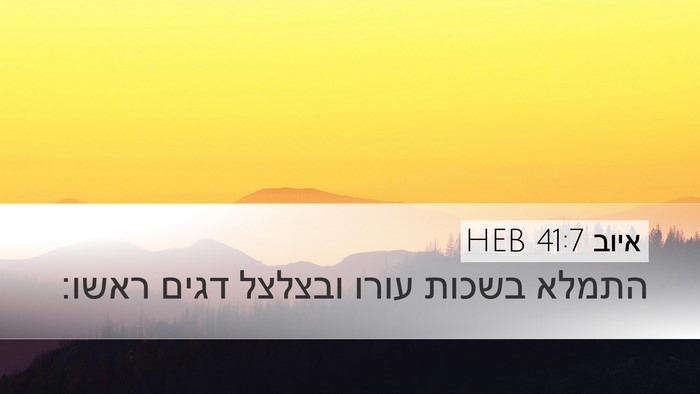איוב 41:7 HEB Desktop Wallpaper - התמלא בשכות עורו ובצלצל - Desktop Bible Verse Wallpaper