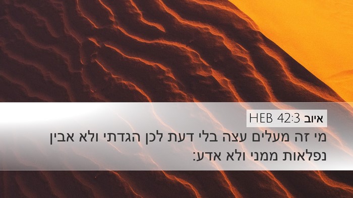 איוב 42:3 HEB Bible Verse Image