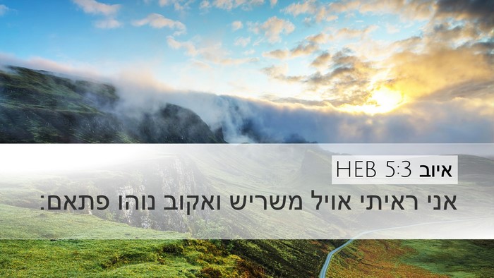 איוב 5:3 HEB Bible Verse Image