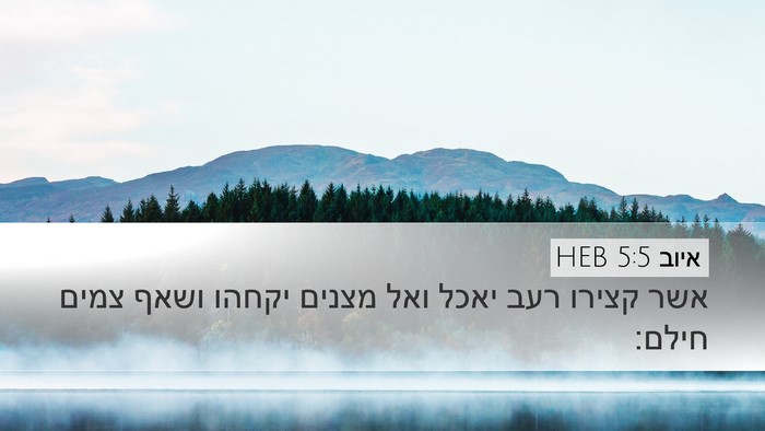 איוב 5:5 HEB Bible Verse Image