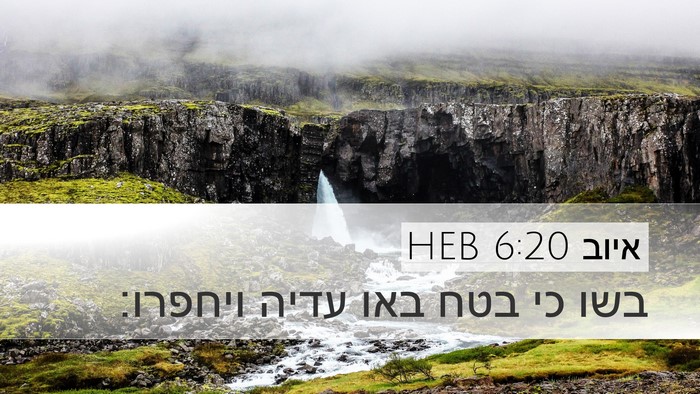 איוב 6:20 HEB Bible Verse Image