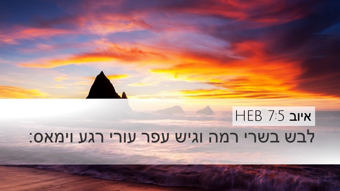 איוב 7:5 HEB Bible Verse Image