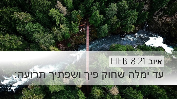 איוב 8:21 HEB Bible Verse Image