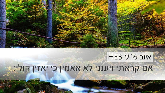 איוב 9:16 HEB Bible Verse Image