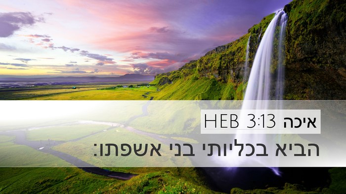 איכה 3:13 HEB Bible Verse Image