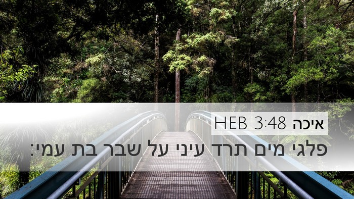 איכה 3:48 HEB Bible Verse Image