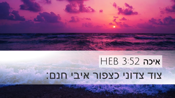 איכה 3:52 HEB Bible Verse Image