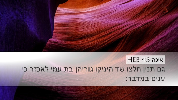 איכה 4:3 HEB Bible Verse Image