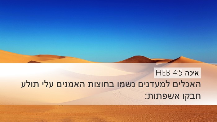 איכה 4:5 HEB Bible Verse Image