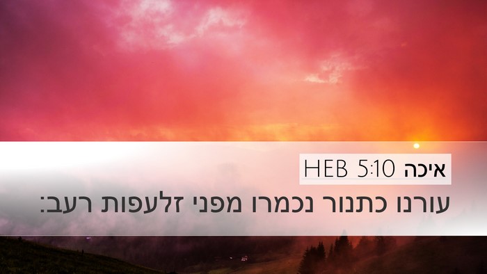 איכה 5:10 HEB Bible Verse Image