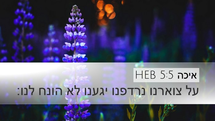 איכה 5:5 HEB Bible Verse Image