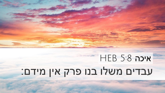 איכה 5:8 HEB Bible Verse Image