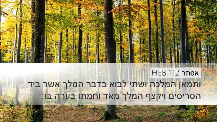 אסתר 1:12 HEB Bible Verse Image