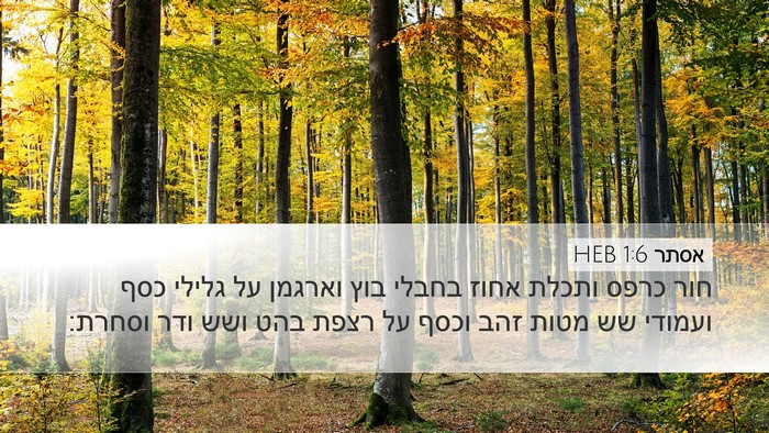 אסתר 1:6 HEB Bible Verse Image