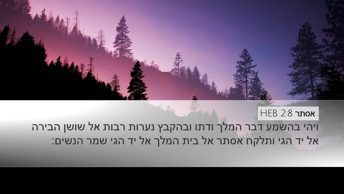 אסתר 2:8 HEB Bible Verse Image
