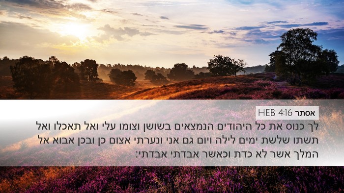 אסתר 4:16 HEB Bible Verse Image