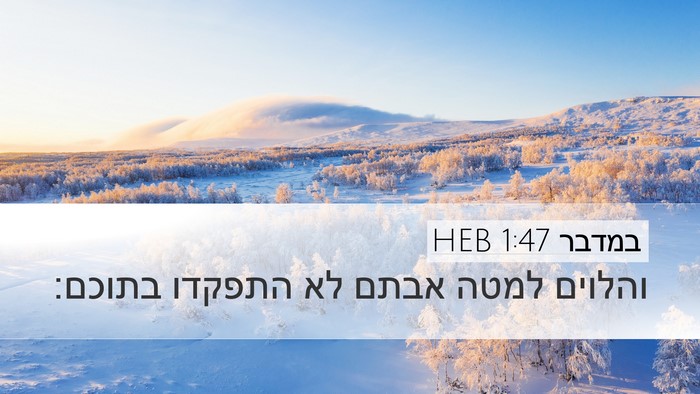 במדבר 1:47 HEB Desktop Wallpaper - והלוים למטה אבתם לא התפקדו - Desktop Bible Verse Wallpaper