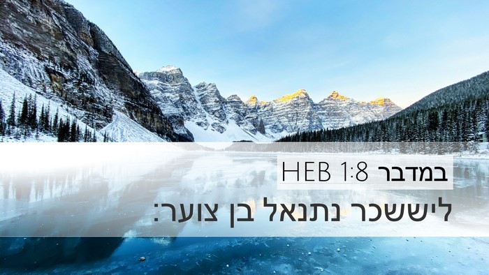 במדבר 1:8 HEB Bible Verse Image
