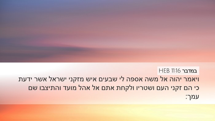 במדבר 11:16 HEB Bible Verse Image