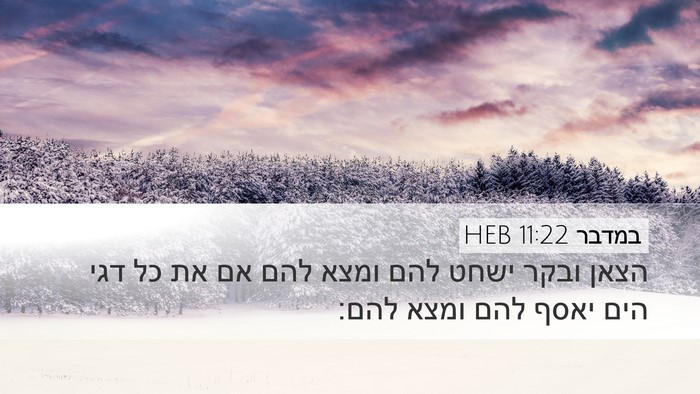 במדבר 11:22 HEB Desktop Wallpaper - הצאן ובקר ישחט להם ומצא להם - Desktop Bible Verse Wallpaper