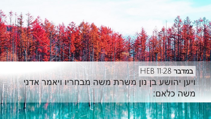 במדבר 11:28 HEB Bible Verse Image