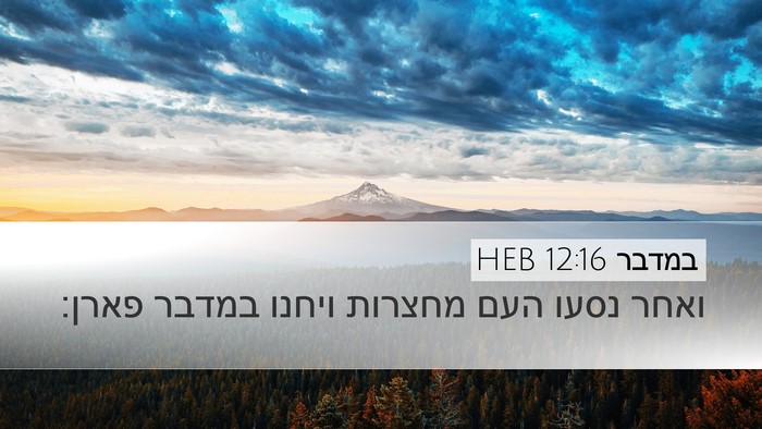 במדבר 12:16 HEB Desktop Wallpaper - ואחר נסעו העם מחצרות ויחנו - Desktop Bible Verse Wallpaper