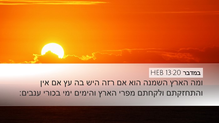 במדבר 13:20 HEB Desktop Wallpaper - ומה הארץ השמנה הוא אם רזה - Desktop Bible Verse Wallpaper