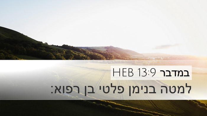 במדבר 13:9 HEB Desktop Wallpaper - למטה בנימן פלטי בן - Desktop Bible Verse Wallpaper