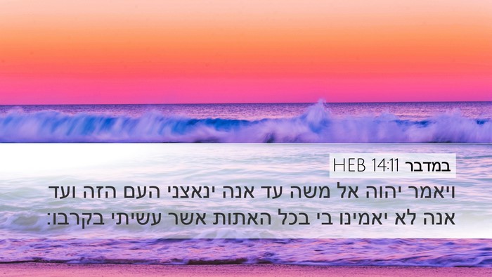 במדבר 14:11 HEB Desktop Wallpaper - ויאמר יהוה אל משה עד אנה - Desktop Bible Verse Wallpaper