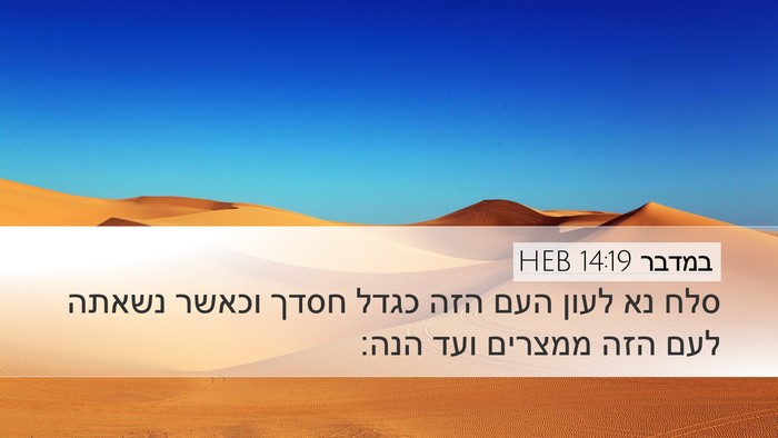 במדבר 14:19 HEB Desktop Wallpaper - סלח נא לעון העם הזה כגדל - Desktop Bible Verse Wallpaper