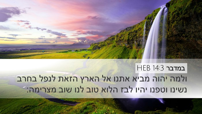 במדבר 14:3 HEB Desktop Wallpaper - ולמה יהוה מביא אתנו אל הארץ - Desktop Bible Verse Wallpaper
