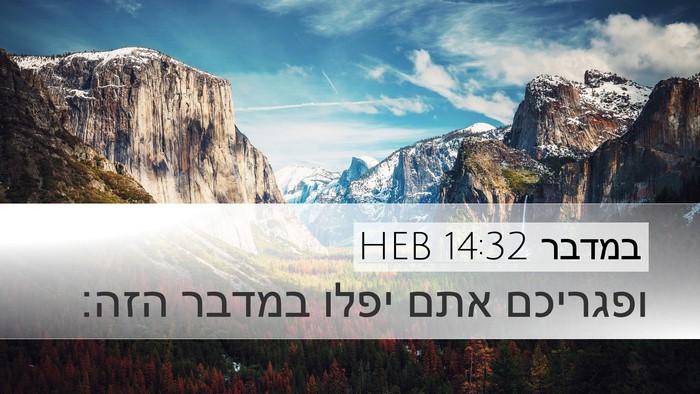 במדבר 14:32 HEB Desktop Wallpaper - ופגריכם אתם יפלו במדבר - Desktop Bible Verse Wallpaper