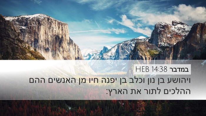 במדבר 14:38 HEB Bible Verse Image
