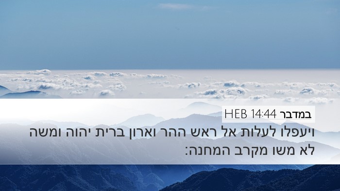 במדבר 14:44 HEB Bible Verse Image