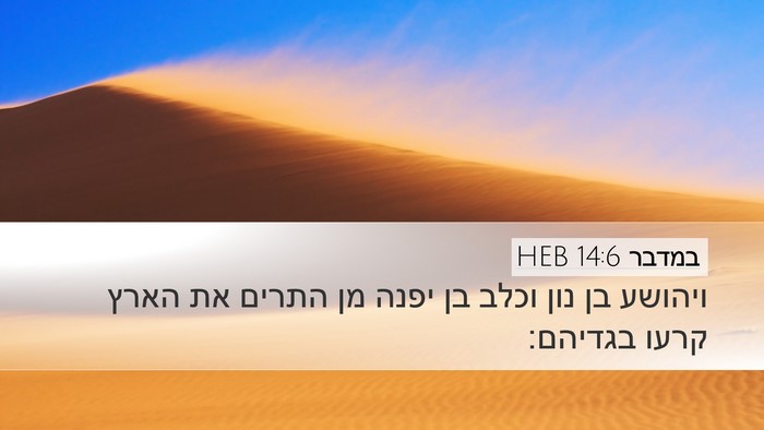 במדבר 14:6 HEB Bible Verse Image