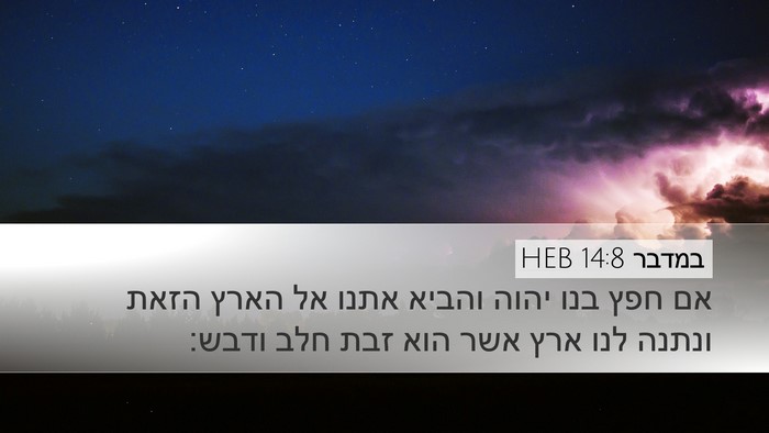 במדבר 14:8 HEB Bible Verse Image