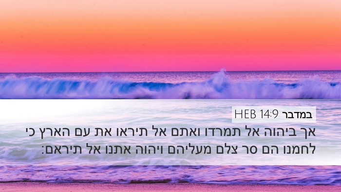 במדבר 14:9 HEB Bible Verse Image