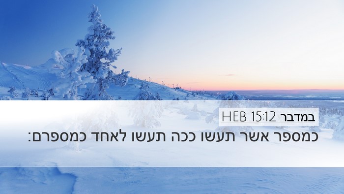 במדבר 15:12 HEB Desktop Wallpaper - כמספר אשר תעשו ככה תעשו - Desktop Bible Verse Wallpaper