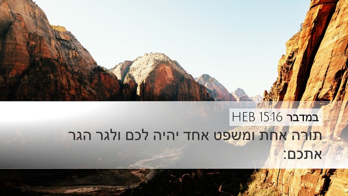 במדבר 15:16 HEB Bible Verse Image