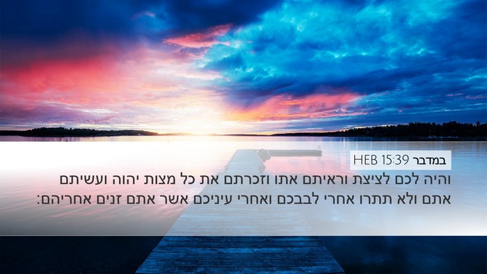 במדבר 15:39 HEB Bible Verse Image
