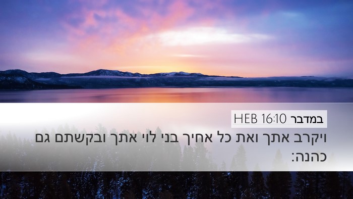 במדבר 16:10 HEB Bible Verse Image