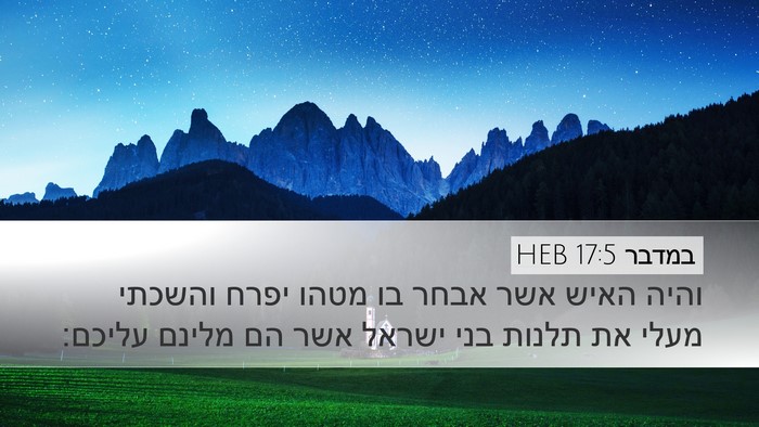 במדבר 17:5 HEB Bible Verse Image