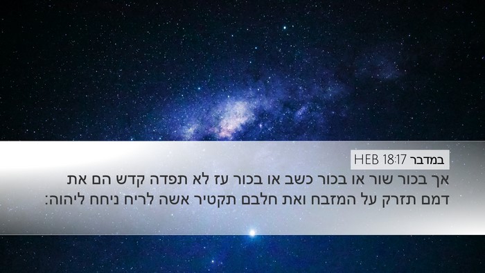 במדבר 18:17 HEB Desktop Wallpaper - אך בכור שור או בכור כשב או - Desktop Bible Verse Wallpaper