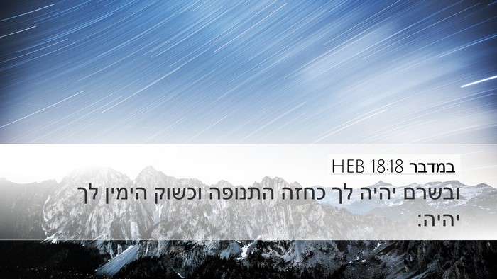 במדבר 18:18 HEB Bible Verse Image