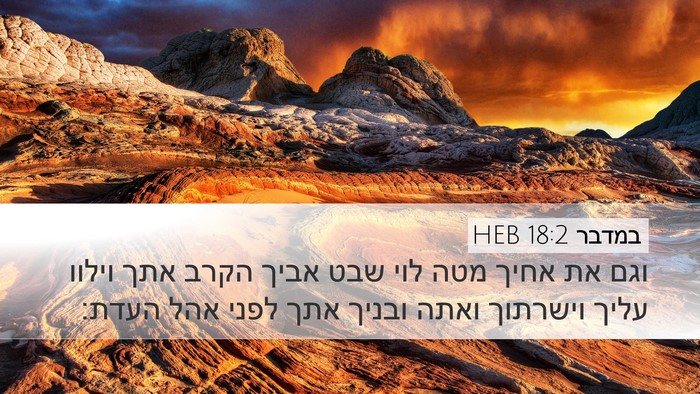 במדבר 18:2 HEB Bible Verse Image