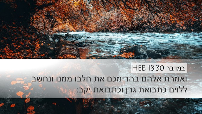 במדבר 18:30 HEB Bible Verse Image