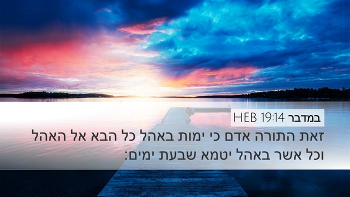 במדבר 19:14 HEB Bible Verse Image