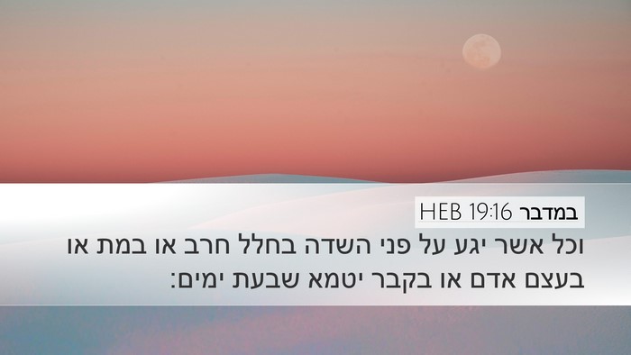 במדבר 19:16 HEB Desktop Wallpaper - וכל אשר יגע על פני השדה - Desktop Bible Verse Wallpaper